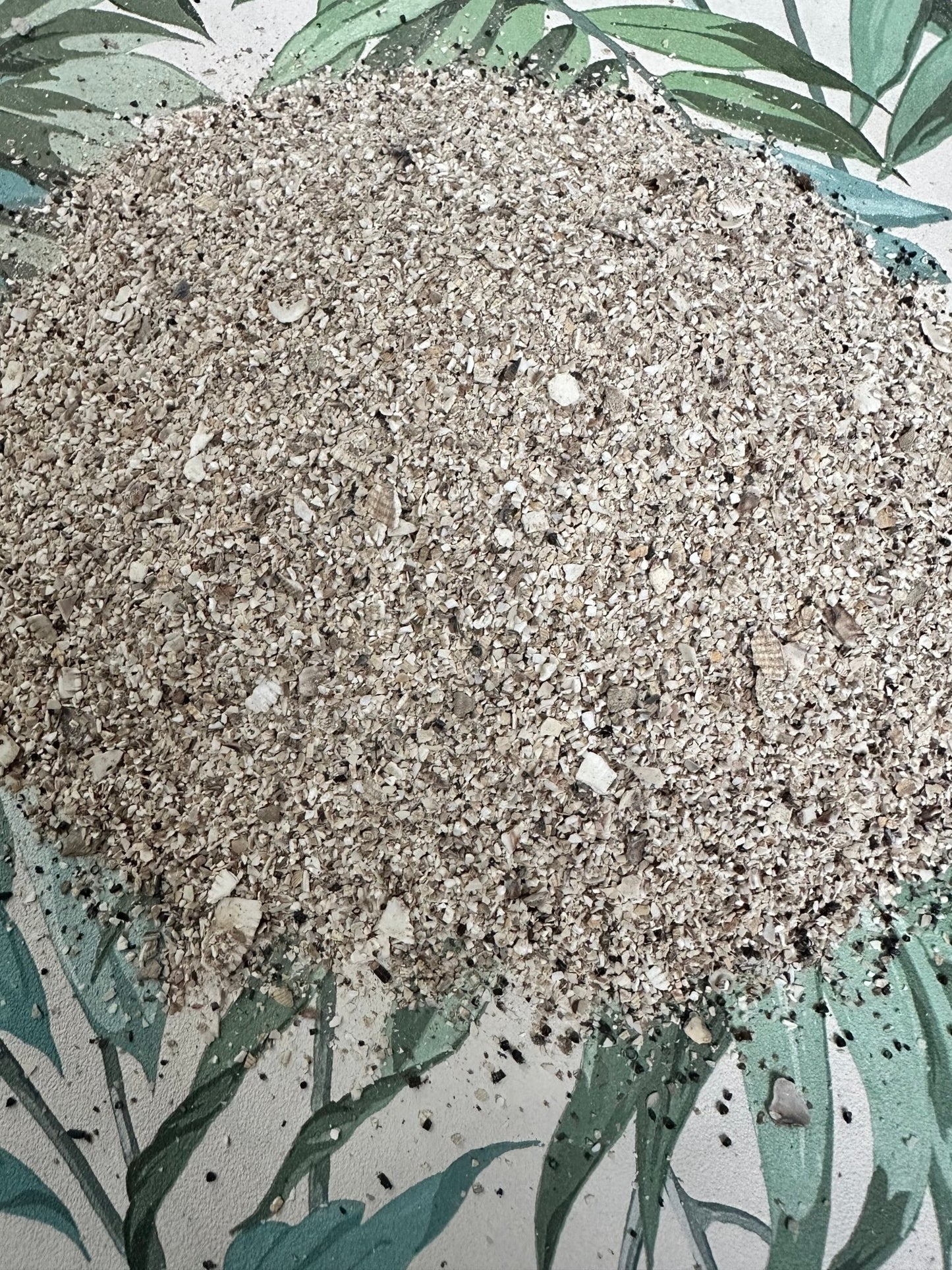 Soil Conditioner Ph Booster 10kg spread out - Grit & Grow