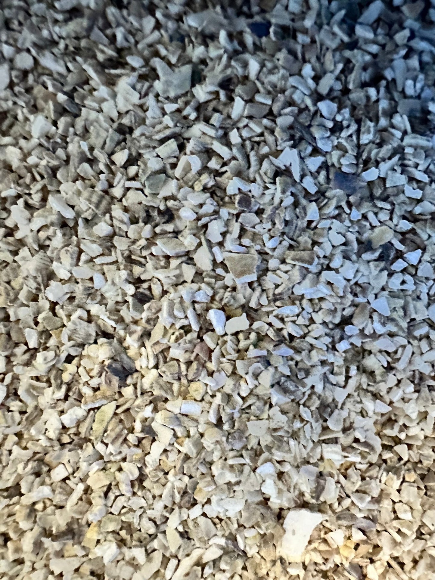 Fine Crushed Sea Shells spread - Grit & Grow