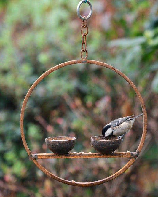 Double Hanging Metal Bird Feeder Ring