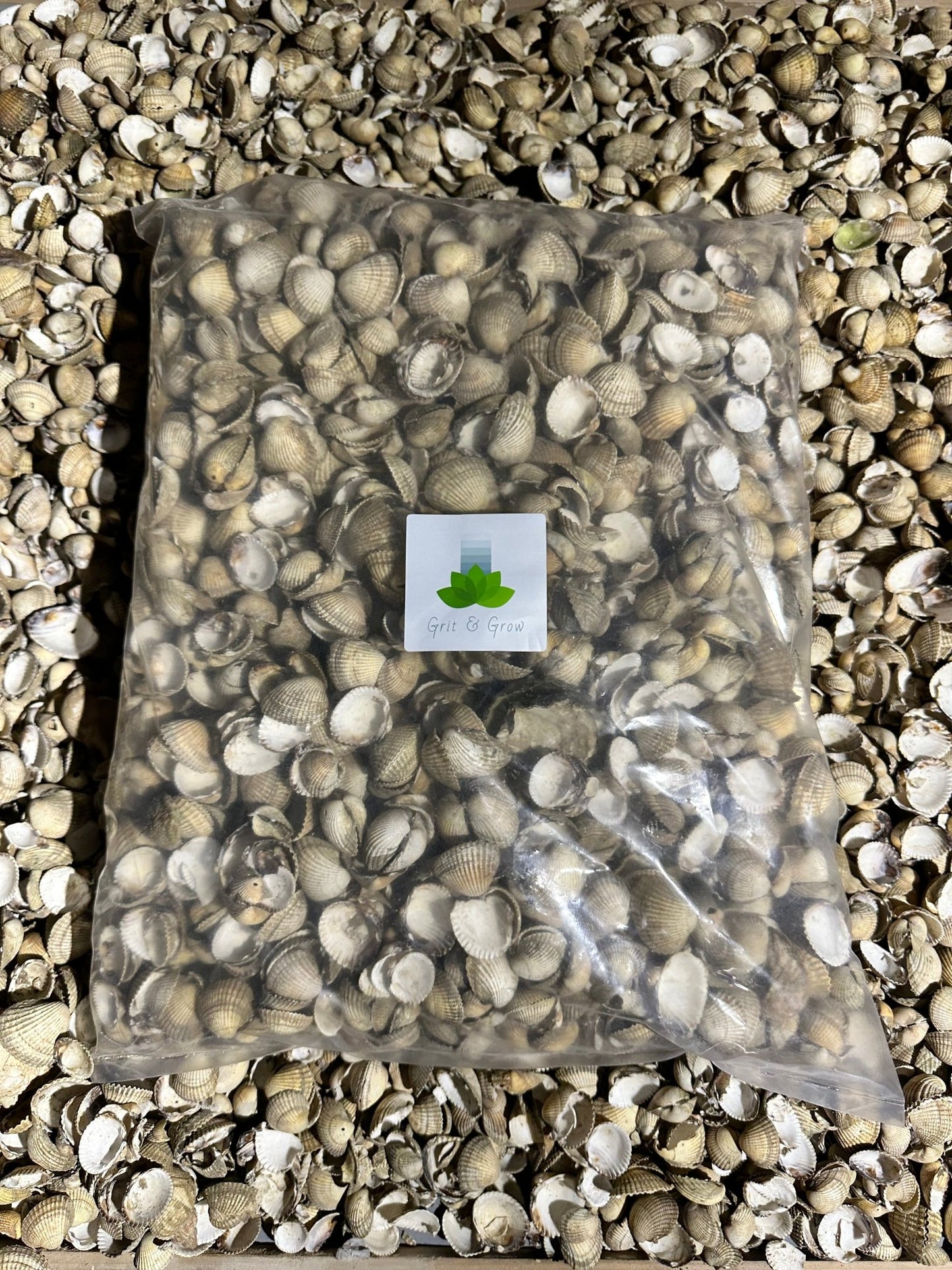 Whole Cockle Shells 5kg in bag - Whole Cockle Shells - Grit & Grow