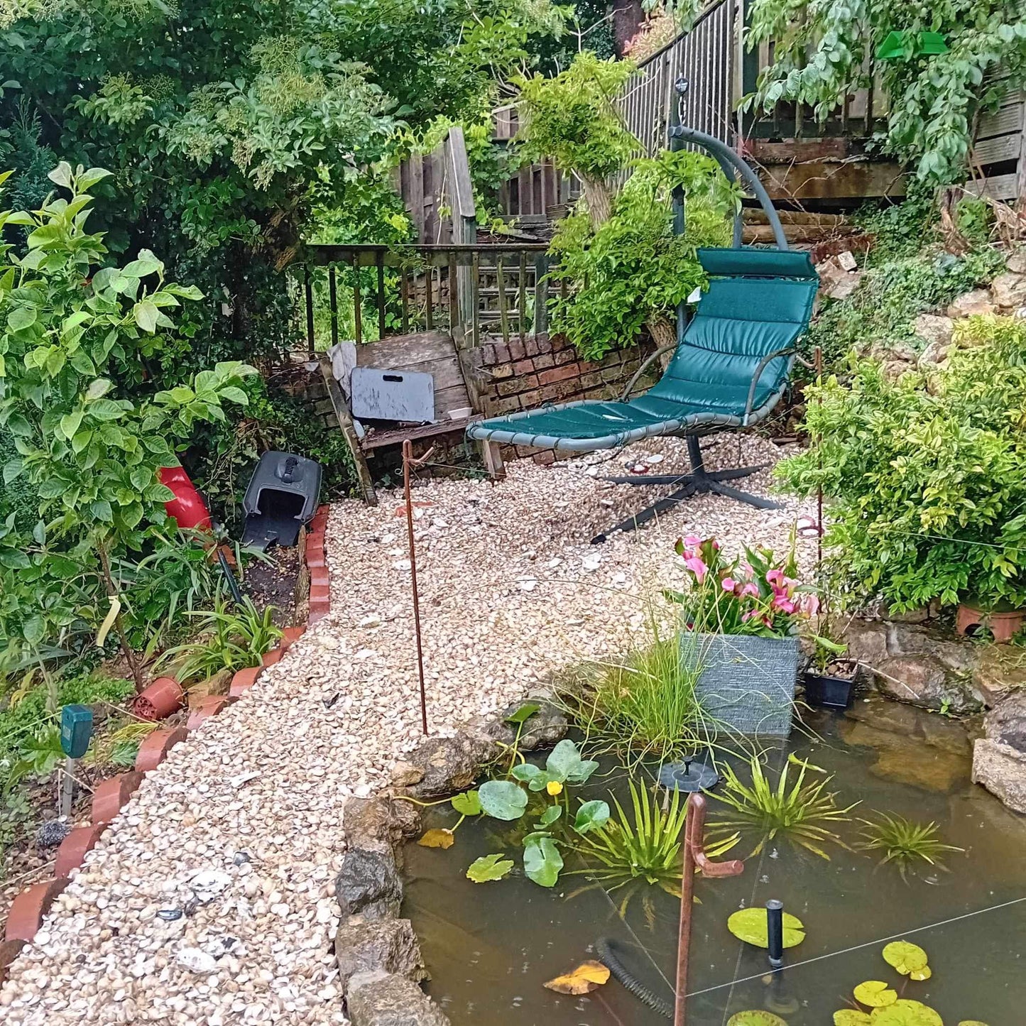 Whole Cockle Shells 20kg - garden path with green chair - Grit & Grow