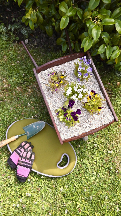 Crushed Sea Shells 2kg - Grit & Grow - wheelbarrow planter