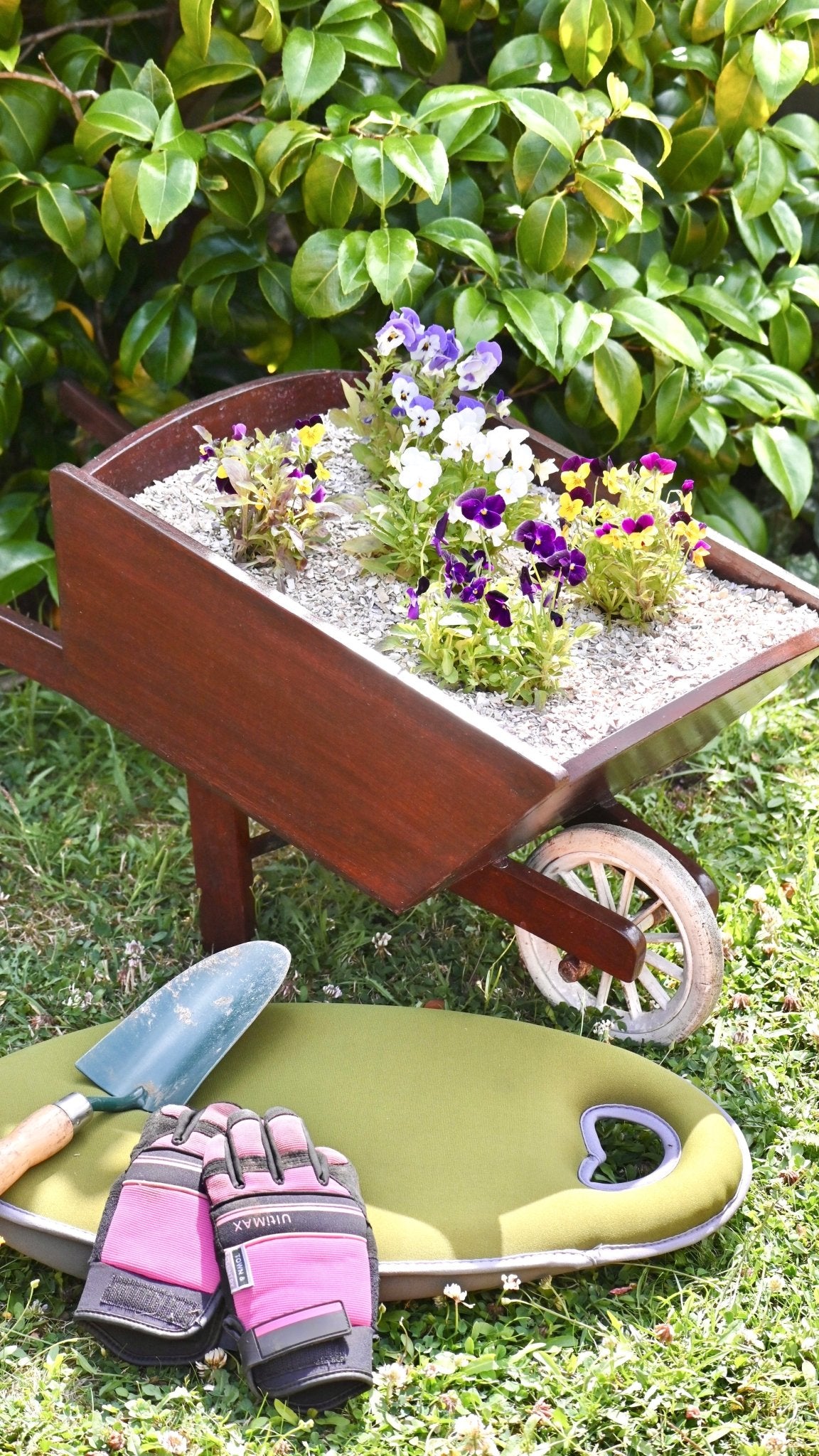 Crushed Sea Shells 2kg wheelbarrow in garden - Grit & Grow
