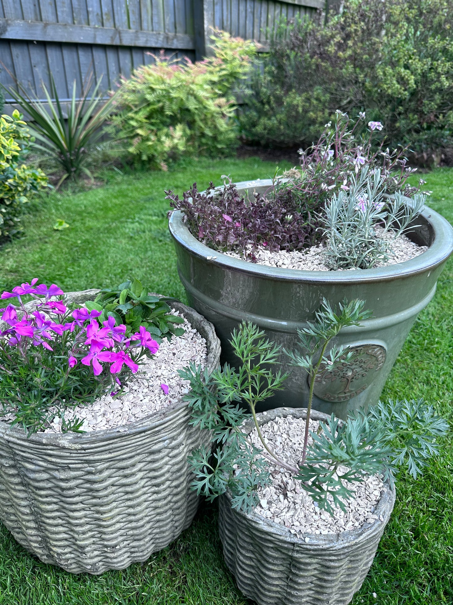 Crushed sea shells 3 garden pots - Grit & Grow
