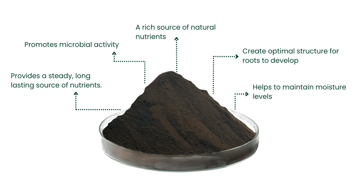 Revive Peat Free Soil Improver | 1000 Litres