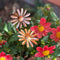 Copper Flowers