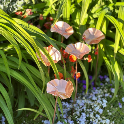 5 x Copper Bee Drinker Bundle