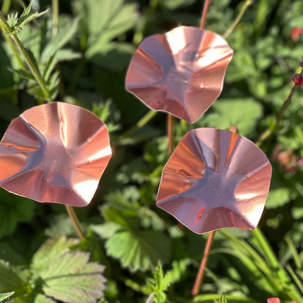 3 x Copper Bee Drinker Bundle