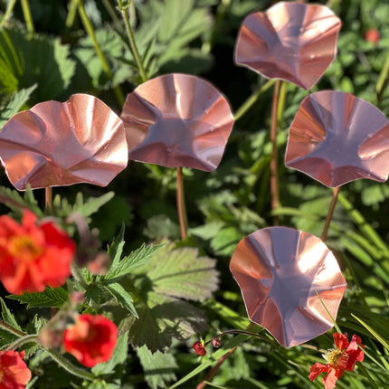5 x Copper Bee Drinker Bundle