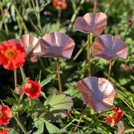 5 x Copper Bee Drinker Bundle
