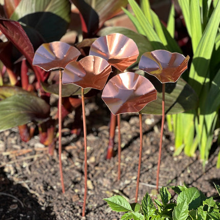 5 x Copper Bee Drinker Bundle