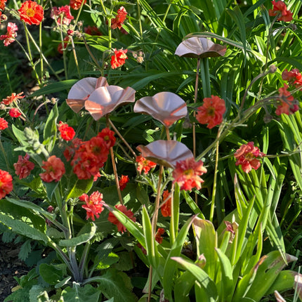 5 x Copper Bee Drinker Bundle