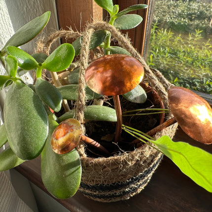 3 Copper Mushrooms