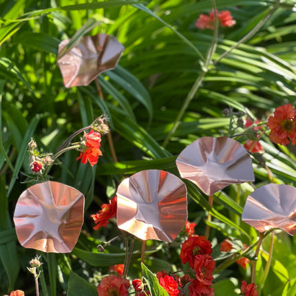 5 x Copper Bee Drinker Bundle