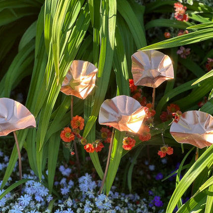 5 x Copper Bee Drinker Bundle