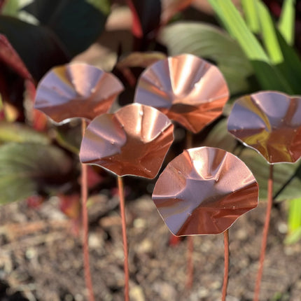 5 x Copper Bee Drinker Bundle