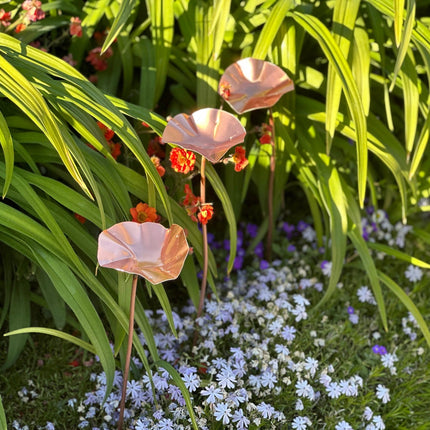 3 x Copper Bee Drinker Bundle