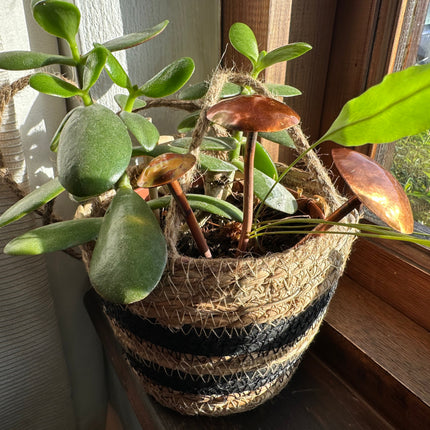 3 Copper Mushrooms