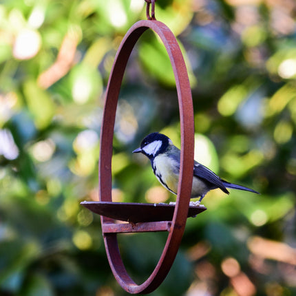 Hanging Bird Feeder Platform Ring