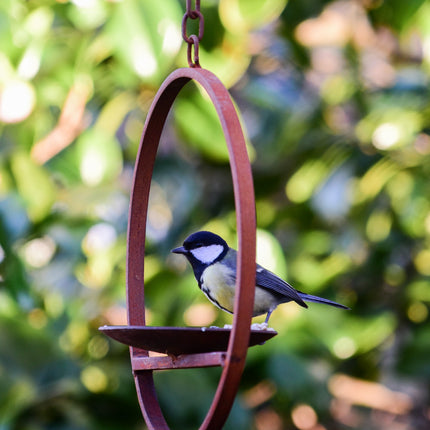 Hanging Bird Feeder Platform Ring