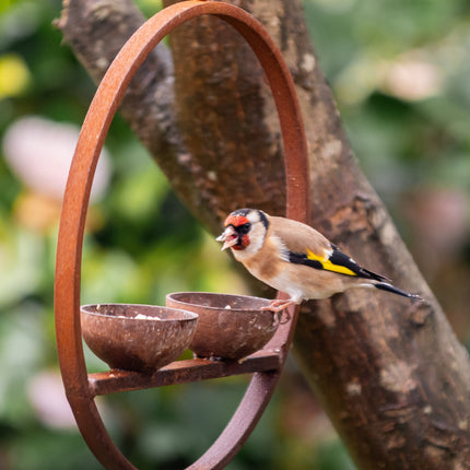 Double Hanging Metal Bird Feeder Ring