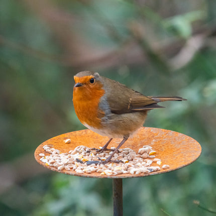 Metal Bird Feeding Platform