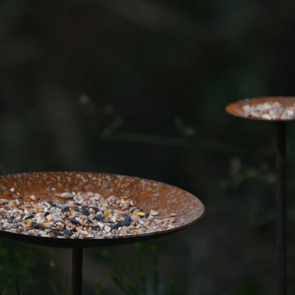 Metal Bird Feeding Platform