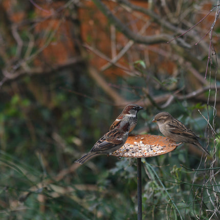 Metal Bird Feeding Platform