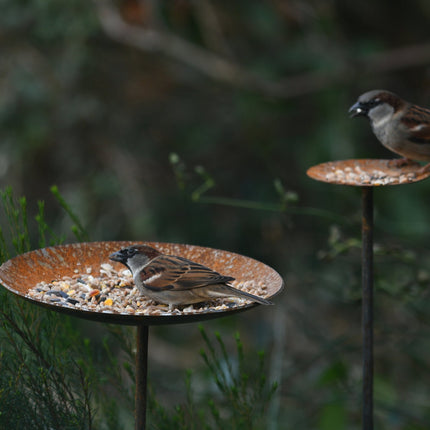 Metal Bird Feeding Platform