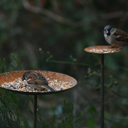 Metal Bird Feeding Platform