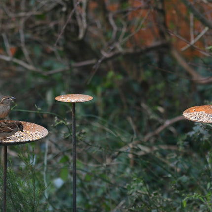 Metal Bird Feeding Platform