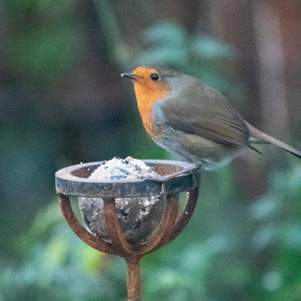 Fat Ball Bird Feeder Stake