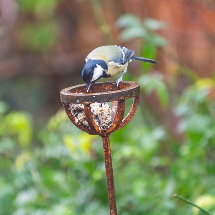Fat Ball Bird Feeder Stake