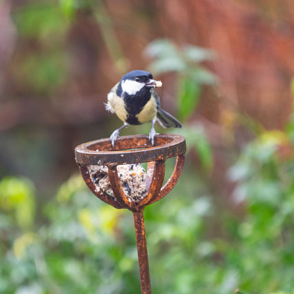 Fat Ball Bird Feeder Stake