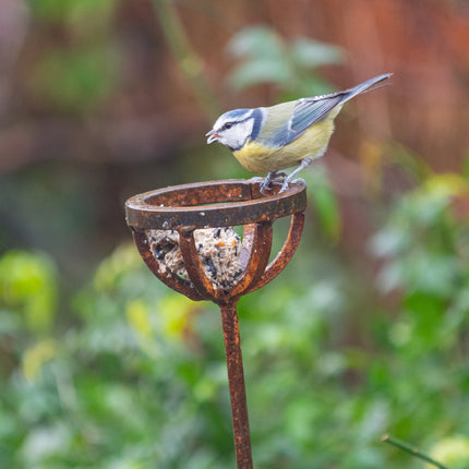 Fat Ball Bird Feeder Stake
