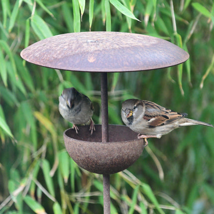 Rusty Metal Bird Feeding Stake