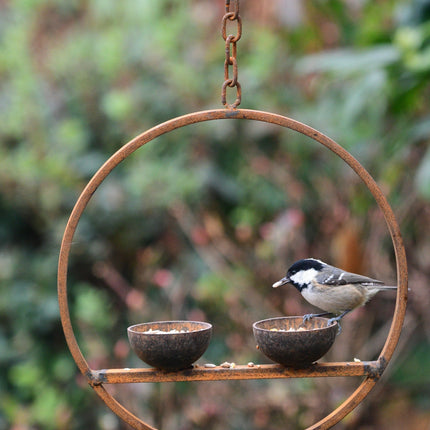 Double Hanging Metal Bird Feeder Ring