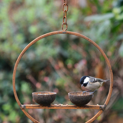 Double Hanging Metal Bird Feeder Ring