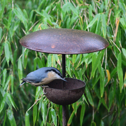 Rusty Metal Bird Feeding Stake
