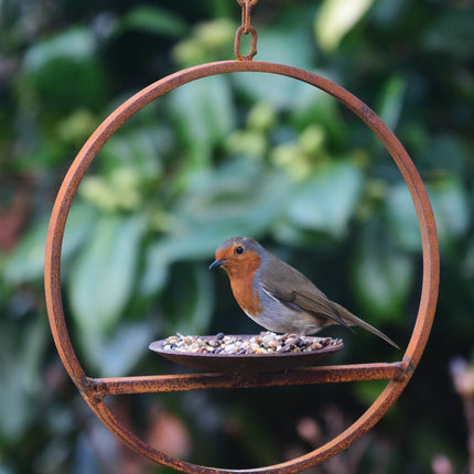 Hanging Bird Feeder Platform Ring