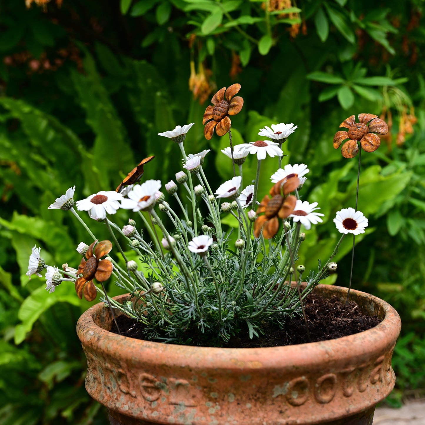 Rusty Metal Daisy
