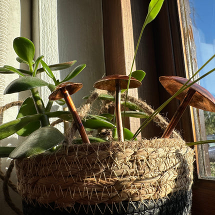 3 Copper Mushrooms