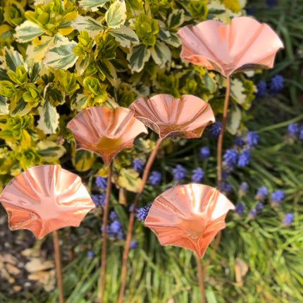 5 x Copper Bee Drinker Bundle