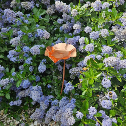 5 x Copper Bee Drinker Bundle