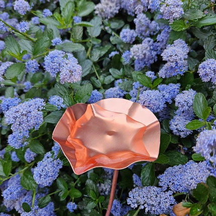 5 x Copper Bee Drinker Bundle