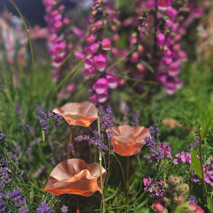 5 x Copper Bee Drinker Bundle