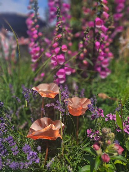 5 x Copper Bee Drinker Bundle