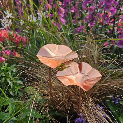 5 x Copper Bee Drinker Bundle