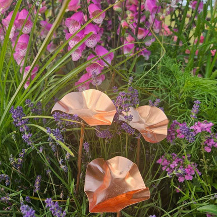 5 x Copper Bee Drinker Bundle