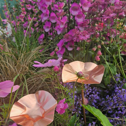 5 x Copper Bee Drinker Bundle